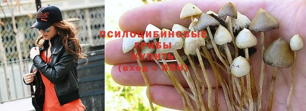 каннабис Белокуриха